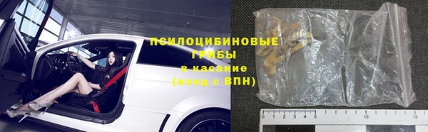 PSILOCYBIN Белокуриха