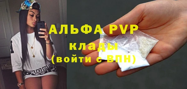 PSILOCYBIN Белокуриха