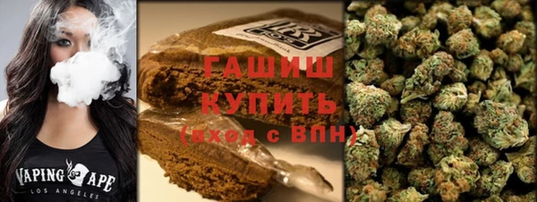 PSILOCYBIN Белокуриха