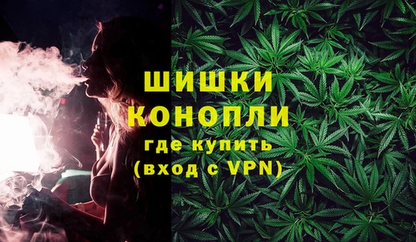 PSILOCYBIN Белокуриха