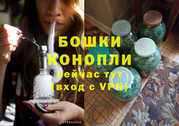 PSILOCYBIN Белокуриха
