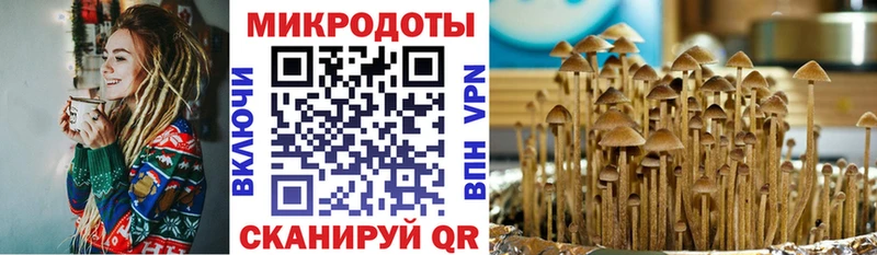 Псилоцибиновые грибы Magic Shrooms  Боровичи 